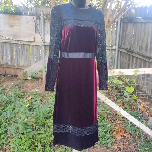 Gorgeous Gothic Holiday Velvet and Lace Dress - Picture 2 of 6